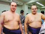 Братья Борадзовы на турнире по сумо в Японии выигрываю первые схватки