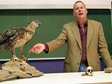 Африканский хохлатый орел был признан виновным в убийстве, совершенном приблизительно 2-3 млн лет назад, пишет британская газета The Times