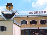 В Липецком зоопарке макак в морозы поят кагором