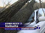 Ураган в северо-восточных штатах США: 380 тысяч домов остались без электричества Ураган в северо-восточных штатах США: 380 тысяч домов остались без электричества