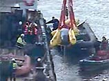 Спасатели пытаются вызволить кита-бутылконоса, заплывшего в Темзу