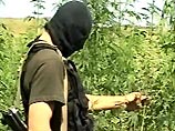Исполняющий обязанности председателя правительства Чечни Рамзан Кадыров заявил, что в республике началась реализация задачи по борьбе с незаконным оборотом наркотиков Исполняющий обязанности председателя правительства Чечни Рамзан Кадыров заявил, что в республике началась реализация задачи по борьбе с незаконным оборотом наркотиков