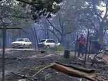 Особенно пострадала Виктория - самый маленький штат страны, известный наибольшим числом виноградников и лучшими местными винами Особенно пострадала Виктория - самый маленький штат страны, известный наибольшим числом виноградников и лучшими местными винами