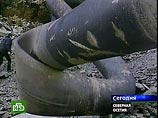 Взрывы - диверсия, заказанная официальным Тбилиси и осуществленная местной агентурой. Не секрет, что в обеих странах, а также в непризнанной Южной Осетии, работает агентура практически всех служб мира, в том числе и сопредельных стран Грузии и России Взрывы - диверсия, заказанная официальным Тбилиси и осуществленная местной агентурой. Не секрет, что в обеих странах, а также в непризнанной Южной Осетии, работает агентура практически всех служб мира, в том числе и сопредельных стран Грузии и России