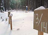 В Свердловской области на кладбище обнаружена свалка незахороненных тел