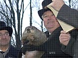 Каждый год 2 февраля его извлекают из норы на свет, чтобы определить, скоро ли придет весна. Если заспанный прорицатель увидит собственную тень, гласит народная примета, то тепла ждать еще полтора месяца. Если же будет пасмурная погода, то весна не за гор Каждый год 2 февраля его извлекают из норы на свет, чтобы определить, скоро ли придет весна. Если заспанный прорицатель увидит собственную тень, гласит народная примета, то тепла ждать еще полтора месяца. Если же будет пасмурная погода, то весна не за гор