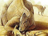 Утконосые динозавры, обитавшие на Земле около 90 млн лет назад, использовали свои большие и сложно устроенные гребни для общения, а также для привлечения сексуальных партнеров