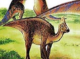 Зоологи, изучившие окаменелые останки этих динозавров из Западной Канады, выяснили, что гребни у динозавров появлялись в довольно зрелом возрасте, что подтверждает их социально-половую функцию