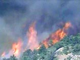 В США в штате Калифорния бушуют лесные пожары. Уже эвакуированы жители 1500 домов в районе Оранж. Огнем уничтожено 480 гектаров леса