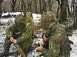 В горах на юге Чечни уничтожена крупная база боевиков В горах на юге Чечни уничтожена крупная база боевиков