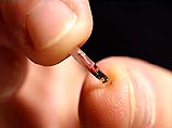 Чипы RFID – недорогие радиопередатчики, которые имеют уникальный идентифицирующий сигнал, – ранее имплантировались животным или прикреплялись к товарам, чтобы можно было следить за их движением Чипы RFID – недорогие радиопередатчики, которые имеют уникальный идентифицирующий сигнал, – ранее имплантировались животным или прикреплялись к товарам, чтобы можно было следить за их движением