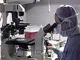 СПИД, H5N1, атипичная пневмония, лихорадка Эбола перешли от животных к людям: ветеринары и медики должны работать вместе СПИД, H5N1, атипичная пневмония, лихорадка Эбола перешли от животных к людям: ветеринары и медики должны работать вместе