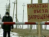 В селе Пензенской области, откуда в Москву поступила говядина с сибирской язвой, объявлен карантин