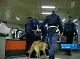 Полиция не нашла бомбу в подозрительном автомобиле у пресс-центра Олимпиады