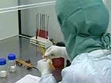 У ветеринарных служб республики возникли подозрения на вирус "птичьего гриппа". Для точного установления причин ее гибели материалы были направлены в лабораторию Краснодарского края