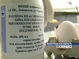 С 10 марта в России начинается массовая вакцинация домашней птицы от "птичьего гриппа"
С 10 марта в России начинается массовая вакцинация домашней птицы от "птичьего гриппа"