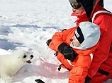 Пол Маккартни с женой высадился на дрейфующую льдину в защиту тюленей