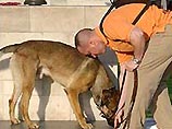 Собаки Буша осквернили мемориал Махатмы Ганди - сооружение освятили повторно Собаки Буша осквернили мемориал Махатмы Ганди - сооружение освятили повторно