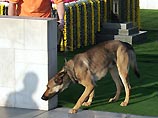 Собаки Буша осквернили мемориал Махатмы Ганди - сооружение освятили повторно