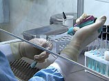 Лондонская лаборатория подтвердила, что в Грузии обнаружен "птичий грипп"