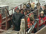 Весенний паводок в Московском регионе может обернуться потопом Весенний паводок в Московском регионе может обернуться потопом