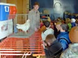 В правительстве Москвы будет создан штаб для борьбы с "птичьим гриппом" В правительстве Москвы будет создан штаб для борьбы с "птичьим гриппом"
