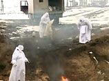 Глава штаба по борьбе с "птичьим гриппом" Медведев: за месяц сдохло более 1 млн птиц Глава штаба по борьбе с "птичьим гриппом" Медведев: за месяц сдохло более 1 млн птиц
