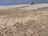 Туркменбаши приказал посадить в Каракумах "лес тысячелетия" Туркменбаши приказал посадить в Каракумах "лес тысячелетия"