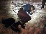 В Кызыле пьяные школьники совершили за ночь три убийства и изнасилование