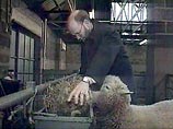 Недавно 62-летний Иэн Уилмут предстал перед судьями на процессе, инициированном его бывшим коллегой Примом Сингхом, который обвиняет его в "преследовании по расовым мотивам" Недавно 62-летний Иэн Уилмут предстал перед судьями на процессе, инициированном его бывшим коллегой Примом Сингхом, который обвиняет его в "преследовании по расовым мотивам"