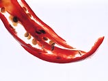 Рак простаты не грозит любителям красного перца, утверждает наука