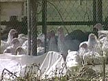 В борьбе с "птичьим гриппом" палестинцам поможет Израиль В борьбе с "птичьим гриппом" палестинцам поможет Израиль