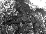 Микроскопические туннели обнаружены американскими учеными в марсианском метеорите Нахла, упавшем в Египте в 1911 году. Эти "ходы" очень напоминают по размеру, форме и распределению те, что создают в камнях бактерии на Земле