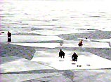 На водохранилище в Волгоградской области  17 человек унесло на льдинах 