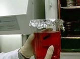 Ученые впервые восстановили сложный человеческий орган, используя собственные ткани пациента Ученые впервые восстановили сложный человеческий орган, используя собственные ткани пациента