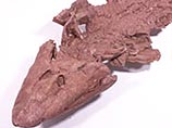 Существо-тетрапод под названием Tiktaalik roseae, жившее примерно 383 миллиона лет назад, чем-то напоминает крокодила с ластами