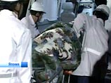 В Японии судно столкнулось с китом: 97 пострадавших (ФОТО)