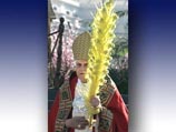 Папа Римский поздравил западный мир с Пальмовым воскресеньем