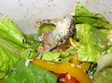 Жительница Австралии нашла мертвую лягушку в салате, купленном в супермаркете