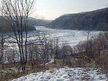 В тайге Хабаровского края погибли тысячи оленей и кабанов. Под угрозой амурский тигр В тайге Хабаровского края погибли тысячи оленей и кабанов. Под угрозой амурский тигр