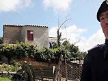 В доме, в котором был захвачен скрывавшийся в течение 43 лет крестный отец сицилийской мафии Бернардо Провенцано, была обнаружена оставленная на печке кастрюлька с цикорием