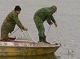 Из-за браконьерства России и странам СНГ вновь запретили экспортировать черную икру