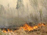 Всю минувшую неделю огонь бушевал в Челябинской и Оренбургской областях, в Краснодарском крае. Даже из космоса видно, что сейчас пылает весь юг страны