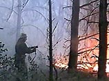 "Отжиг травы" спровоцировал лесные пожары в семи российских регионах