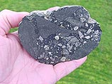 Ученым не известен ни один случай смерти человека в результате падения кусочков метеоритов на Землю