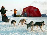 Потеряна связь с российской экспедицией, идущей на собачьей упряжке к берегам Канады
