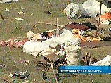 Стали известны подробности нападения скинхедов на цыганский табор в Волгоградской области
