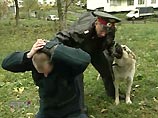 В России существенно увеличилось количество арестов - Дума готовит поправки в УПК В России существенно увеличилось количество арестов - Дума готовит поправки в УПК