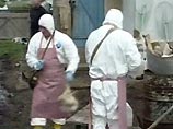 Онищенко считает, что глобальная пандемия "птичьего гриппа" может начаться в России Онищенко считает, что глобальная пандемия "птичьего гриппа" может начаться в России