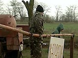 Неизвестная болезнь в Крыму убила 50 бакланов Неизвестная болезнь в Крыму убила 50 бакланов